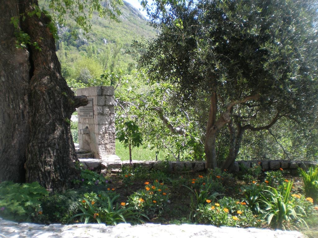 Villa Lidija Budva Phòng bức ảnh
